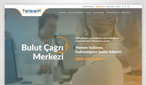 Telsam Plus Corporate Website - Web Design 